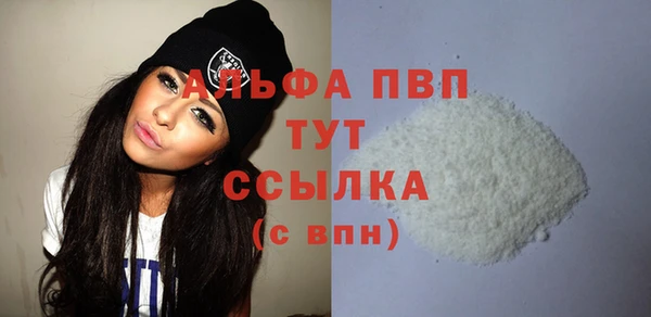 Альфа ПВП Бородино