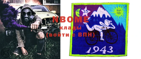 Альфа ПВП Бородино