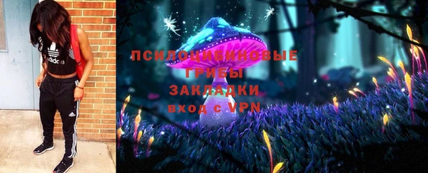 сатива Бугульма