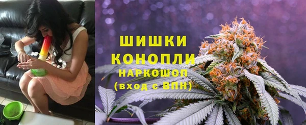 сатива Бугульма
