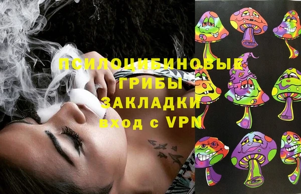 Альфа ПВП Бородино