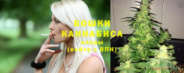 Альфа ПВП Бородино
