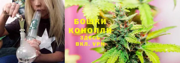 сатива Бугульма