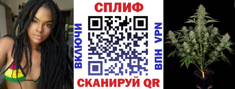 Конопля конопля  Кологрив 